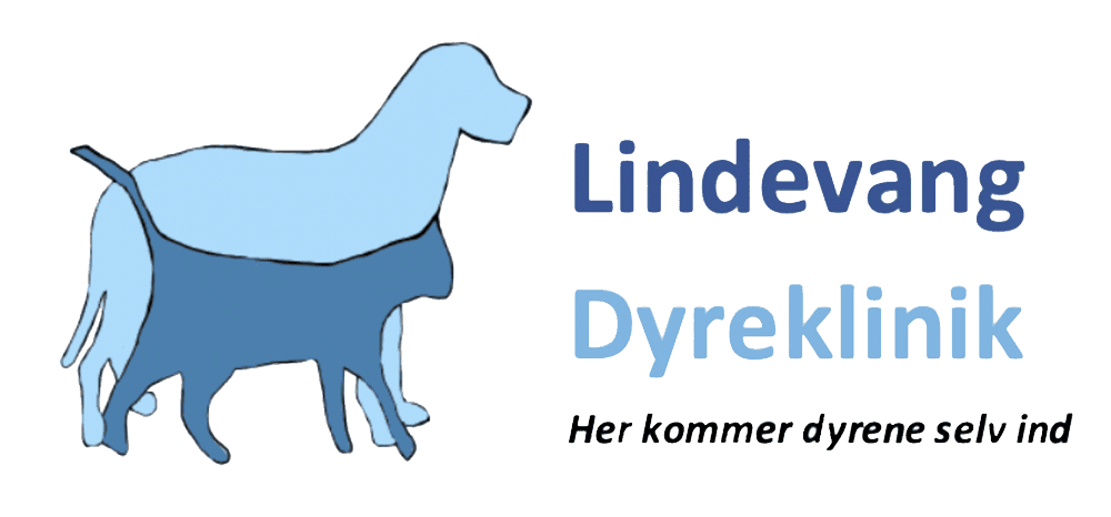 Lindevang Dyreklinik | Få den bedste behandling til kæledyr her
